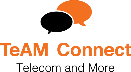 Logo de TeamConnect